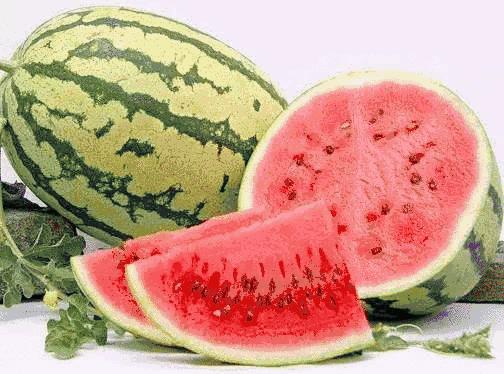 宁夏地域特色与文化发展探究