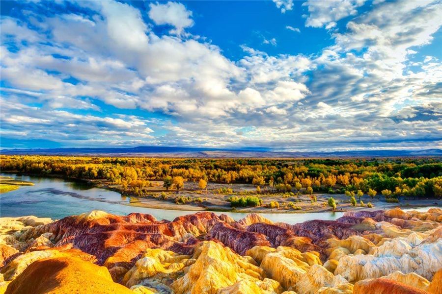 新疆盛情邀请，尊敬的领导与朋友们共聚盛会